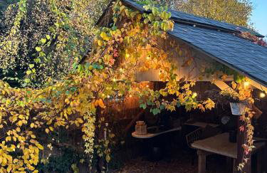 Chata Lawendowa - Foto 10