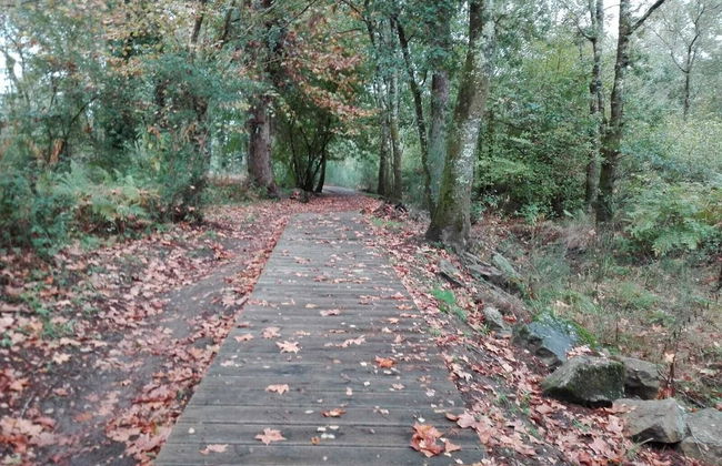 Casa Das Pias - Photo 18