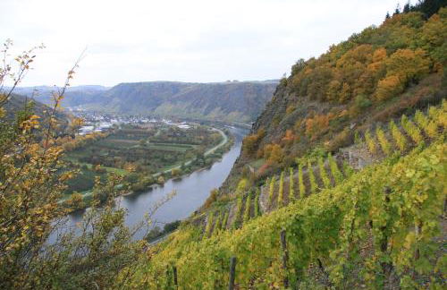 Ferienwohnungen im Moseltal - Foto 62