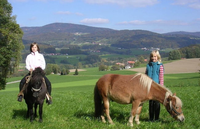 Attractive Apartment in Bavaria - Foto 27