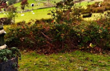 Sea Moss Cabin - Foto 30