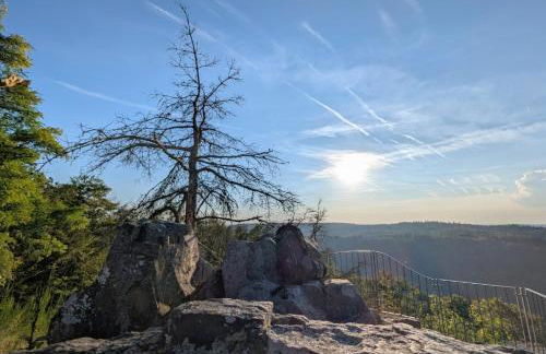 Ferienwohnung in Marienthal am Regen - Foto 15