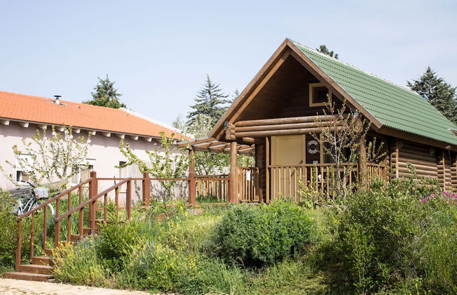 Dalia Barama - Photo 23