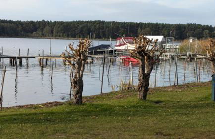 Spreewaldhäuser Golinski mit Kamin am Neuendorfer See - Foto 75