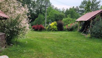 Zielone Zacisze Zwola - Foto 4, Garden, Garden view