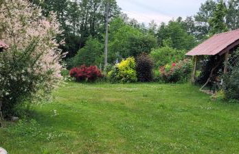 Zielone Zacisze Zwola - Foto 4