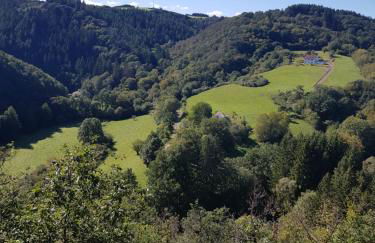 Eifel-FeWo by Salzburger - Foto 18