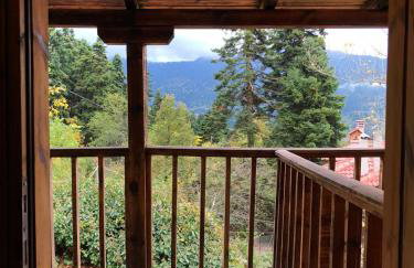 Panorama Elati - Foto 23