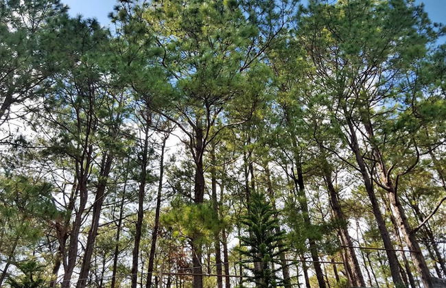 4F8 Princeton bldg North Cambridge Condo - Foto 27