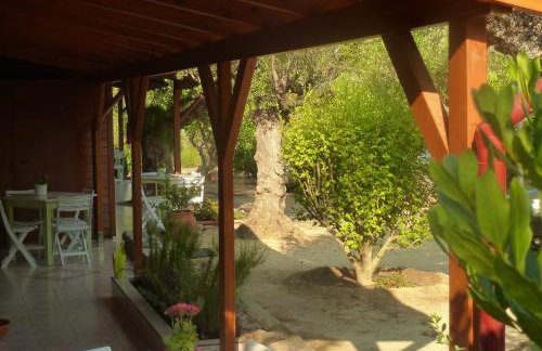 Ktirakia Studios - Foto 17