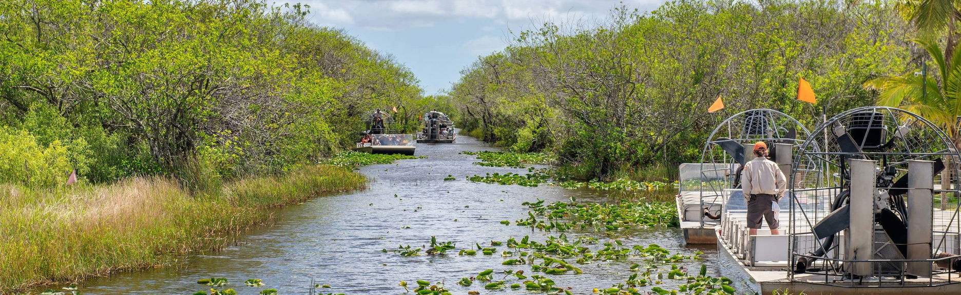 Balade en aéroglisseur dans les Everglades