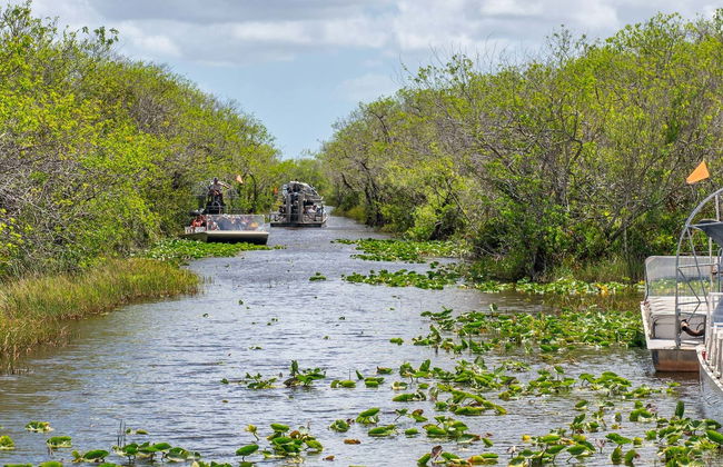 Balade en aéroglisseur dans les Everglades - Photo 1