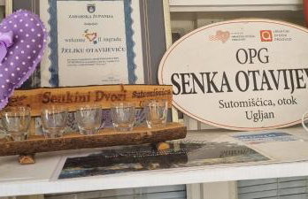 Senkini Dvori - Photo 17