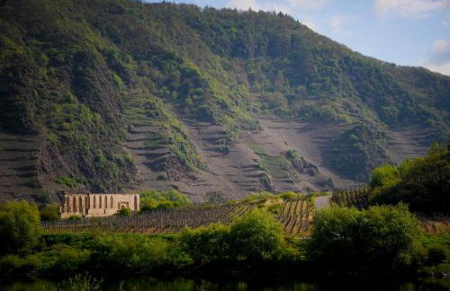 Ferienhaus am Kloster Stuben - Foto 12