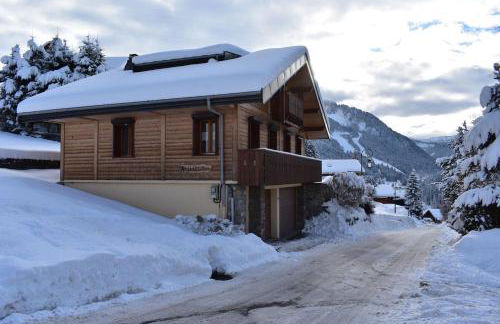 Chalet le Petit Ramoneur - Foto 18