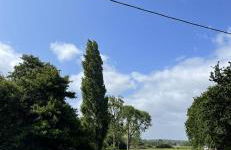 St Malo à 15 Min et 10 Min de Dinard - Foto 28