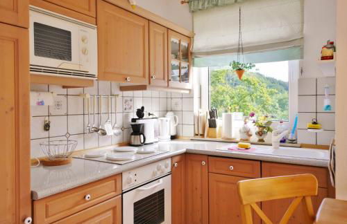 Komfort-Fewo SKYWALK-BLICK mit MeineCardPlus - Foto 14