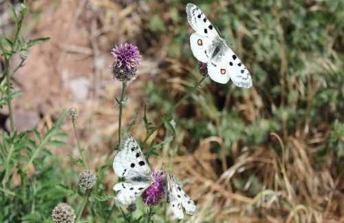 Ferienwohnungen Georg Andre Söhne - Foto 35