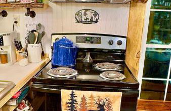 King Suite & Bunkhouse - Deer Camp - WiFi - Grill - Foto 10