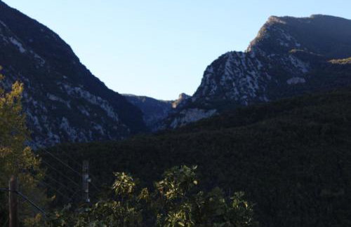 Frasta's Rose - Foto 25