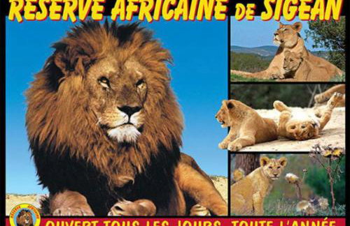 La maison de Jade Le Mabrouka donne une place pour la réserve africaine valable jusqua fin septembre - Foto 27