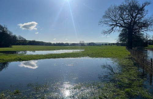 The Swallows Rest, Avebury - Foto 30