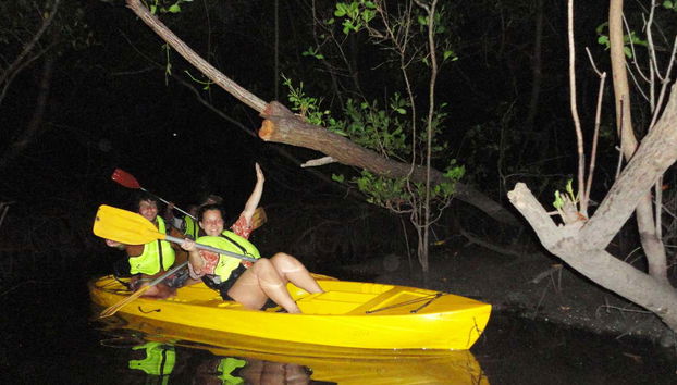 Bioluminescent Plankton Kayaking Tour - Foto 4