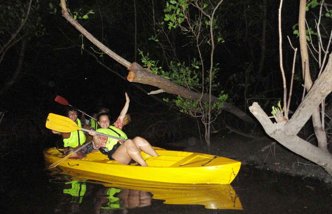 Tour del plancton luminiscente en kayak - Foto 4