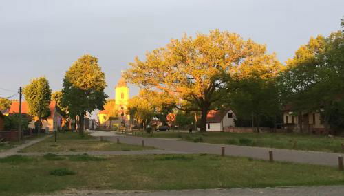 Landidyll - Bauernhaus Ländchen Bellin - Foto 5