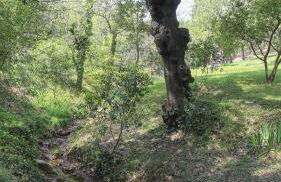 Hameau de la Suyère - Foto 23