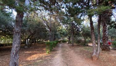 Baglio Cuttaia - Foto 3