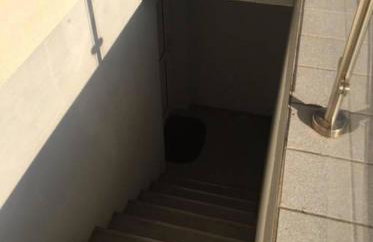 Einliegerwohnung Kleinmachnow - Foto 5