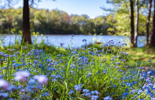 Domy na Kaszubach w Kamieniu - Foto 27