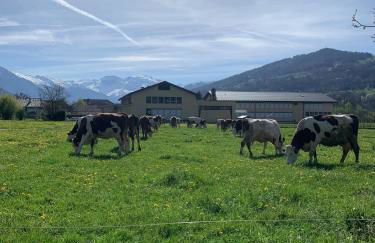 House 11 guests 2 cozy apartments near ski slopes - Foto 58