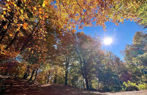 Garden Residence - Foto 77