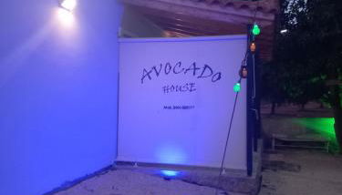 Avocado house - Photo 3