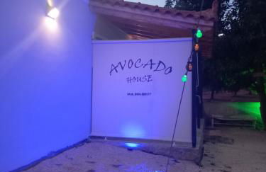 Avocado house - Photo 3