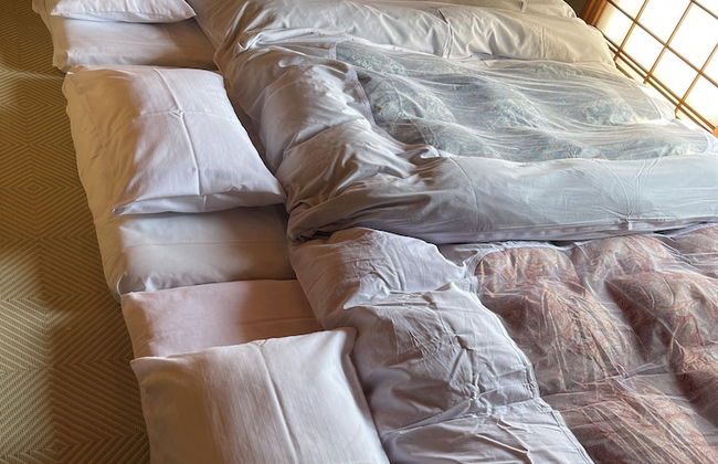 marugamenoyadosawai - Foto 7