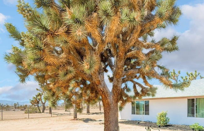 @marbella Lane - Charming Tranquil Hideaway - Foto 50