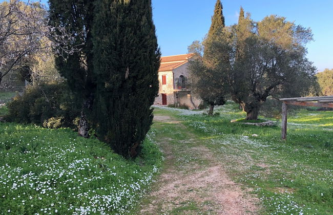 Villa Melite - Foto 45