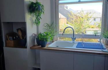 The Fuzzy Duck - Photo 9