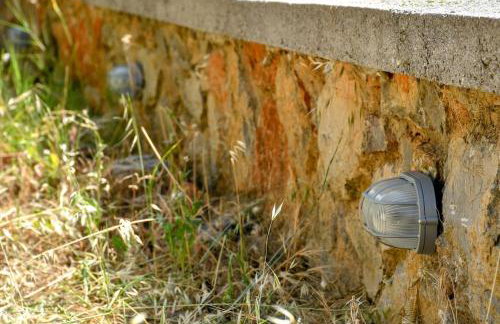 Forest View House Seta - Photo 21