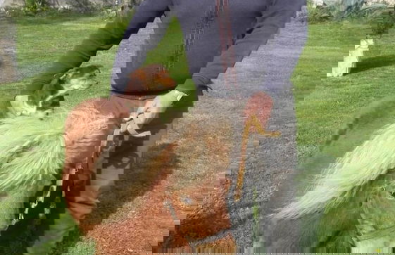 Agriturismo Antica Casa Scardone - Foto 57