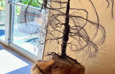 Agriturismo Terre di Ginepro - Foto 12