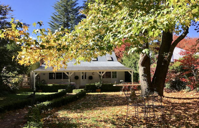 Endellion - Photo 32