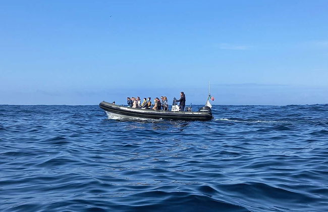 Dolphin Watching Cruise - Photo 3