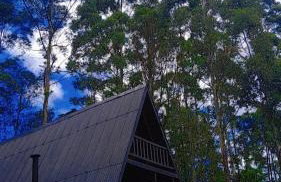 Chalé da Mantiqueira SFX , Pet friendly - Foto 6