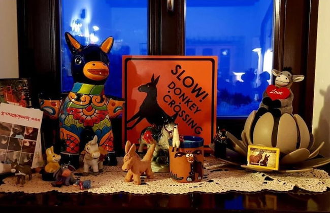 Malga Zanga - Photo 27