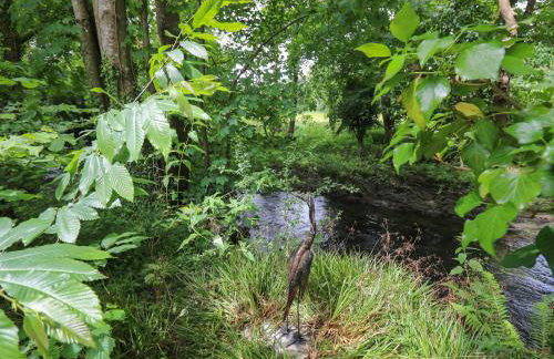 Glas y Dorlan - Foto 43