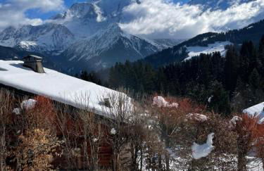 Vue splendide Mont Blanc - Foto 15